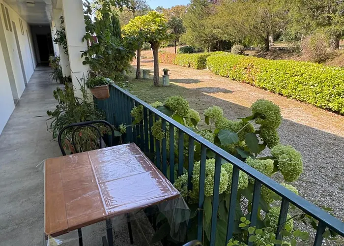 Appartement Au Bon Air Barbotan *