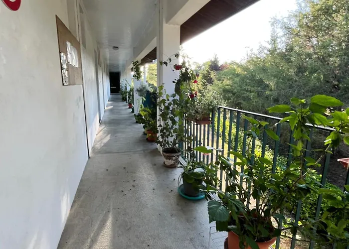 Au Bon Air Barbotan Cazaubon