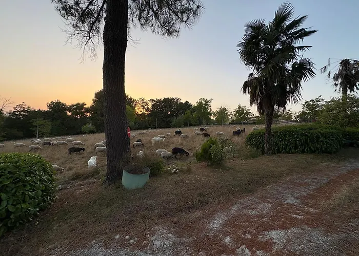 Au Bon Air Barbotan Appartement Cazaubon