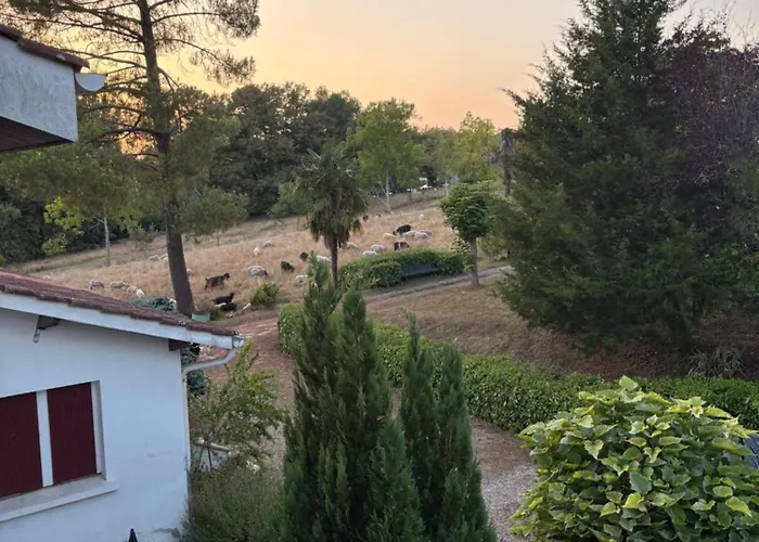 Appartement Au Bon Air Barbotan Cazaubon