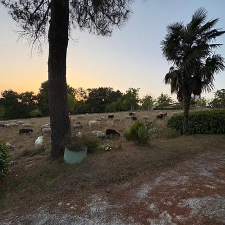 Au Bon Air Barbotan Διαμέρισμα Cazaubon