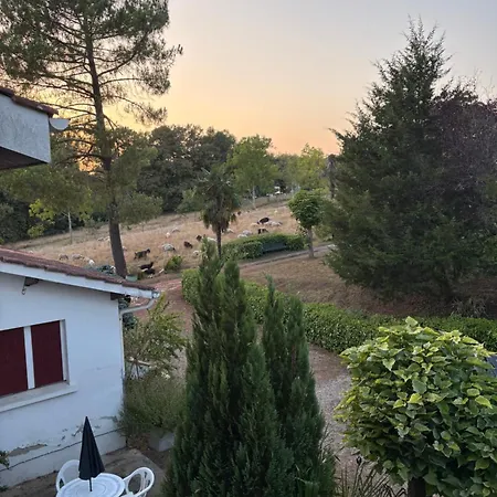 Apartamento Résidence Au Bon Air Barbotan Cazaubon